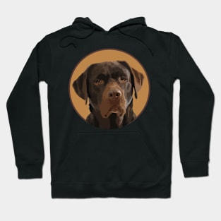 Chocolate Labrador Retriever! Especially for Lab owners! Hoodie